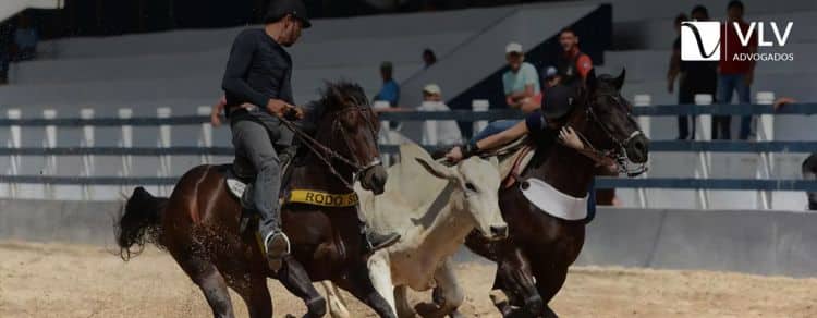 Cavalgada, hipismo e vaquejada