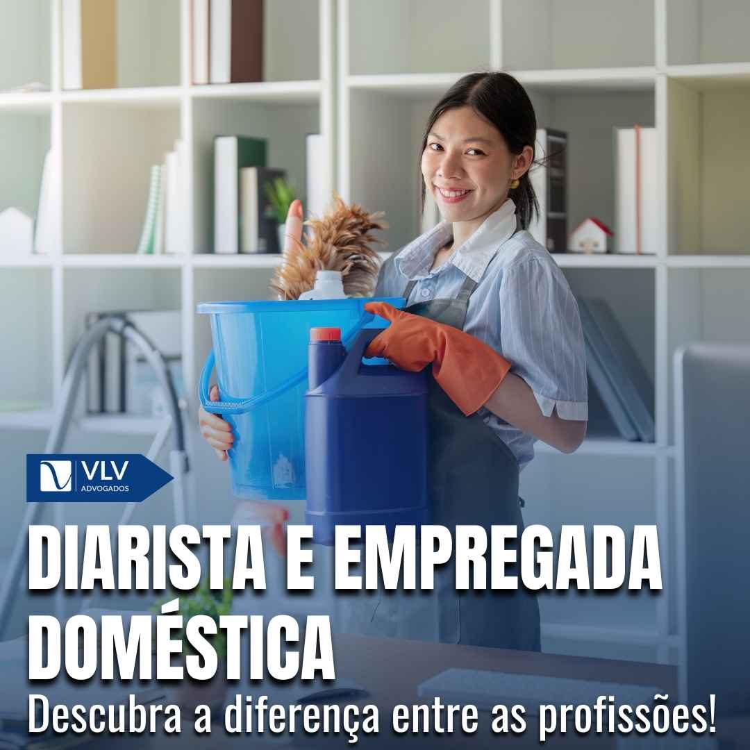 diarista 