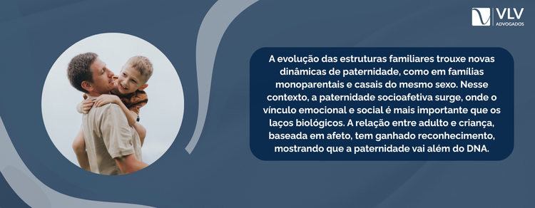 imagem explicativa - as novas estruturas familiares