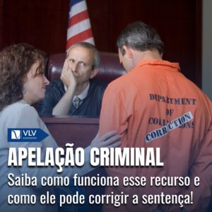 apelacao criminal