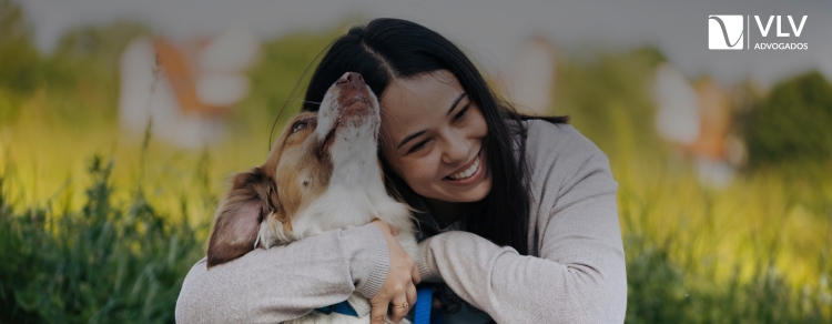 Imagem representando guarda de pets