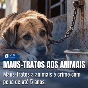 Maus-tratos aos animais: o que configura esse crime? 4 Maus-tratos aos animais: o que configura esse crime?