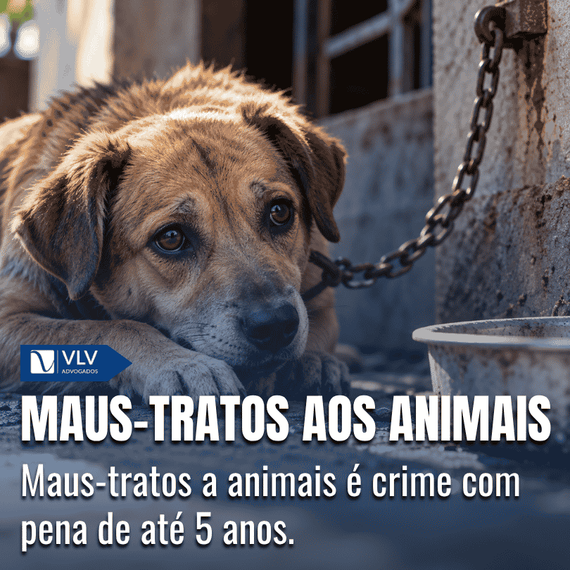 Blog 10 Maus-tratos aos animais: o que configura esse crime?