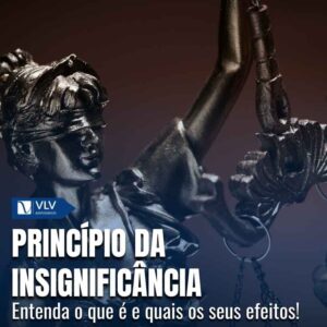 O que é o princípio da insignificância e quais suas consequências? 1 principio da insig. capa