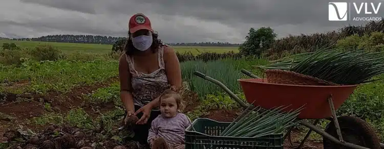 Reforma Agrária
