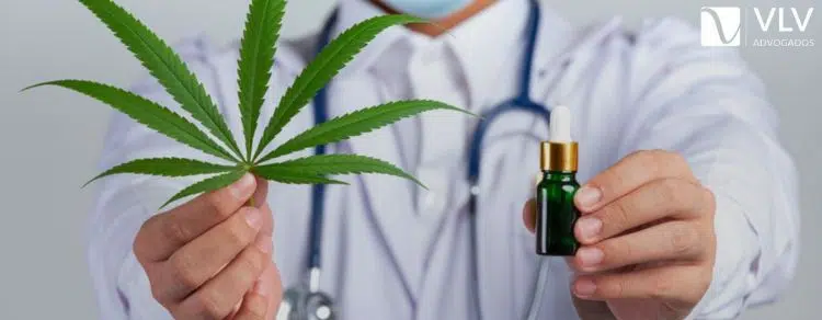 Maconha: Saiba quando o uso medicinal é liberado no Brasil!