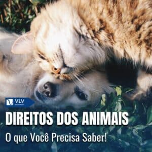Direitos dos Animais: O que Você Precisa Saber