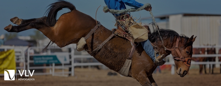 Tradição e polêmica: Cavalgada, hipismo e vaquejada