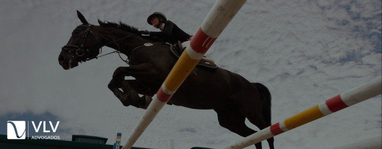 Tradição e polêmica: Cavalgada, hipismo e vaquejada