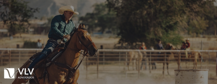 Tradição e polêmica: Cavalgada, hipismo e vaquejada