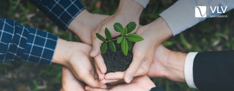 É possível anular uma multa ambiental? Descubra agora! 1 multa ambiental