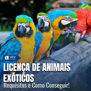 licença de animais
