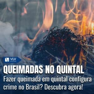 queimadas no quintal