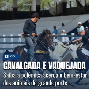 Tradição e polêmica: cavalgada, hipismo e vaquejada 7 Cavalgada, hipismo e vaquejada