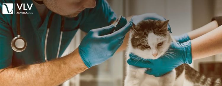 Aposentadoria para médico veterinário: Como funciona?