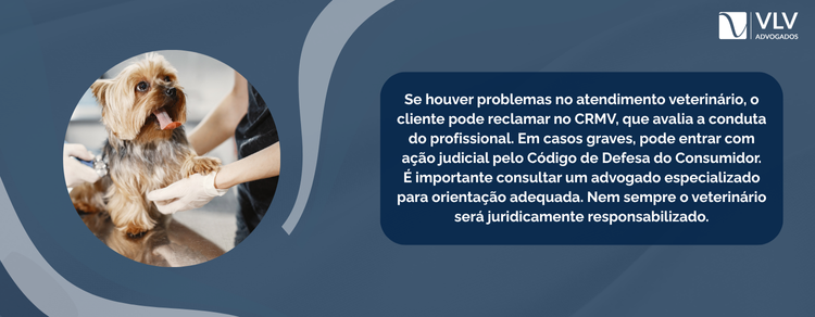 imagem explicativa - o que fazer em caso de problemas com o veterinário
