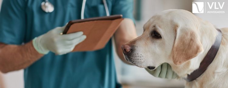 Aposentadoria para médico veterinário: como pedir? 1 imagem representando aposentadoria do médico veterinário