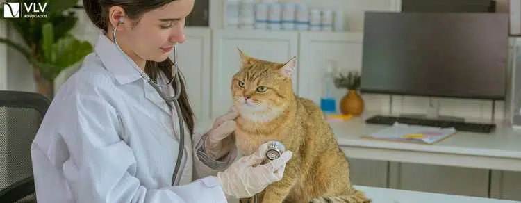 aposentadoria do médico veterinário