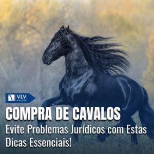 Problemas jurídicos envolvendo a compra de cavalos 4 Problemas jurídicos envolvendo a compra de cavalos
