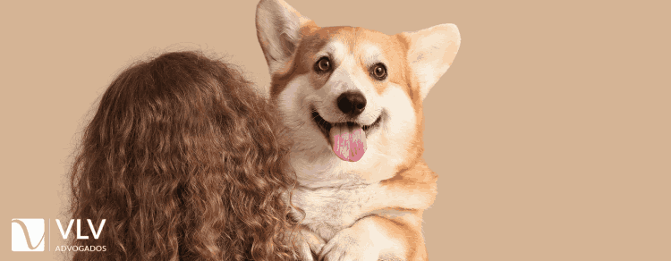 Existe direito de visitação aos animais após o término? 1 cachorro para representar direito de visitação aos animais