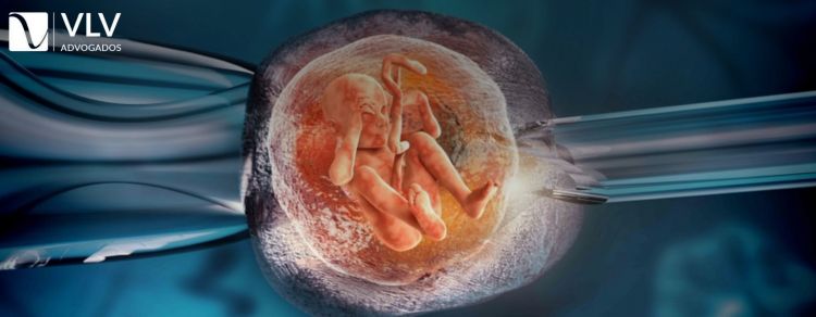 Fertilização in vitro (FIV): O que é e como funciona?