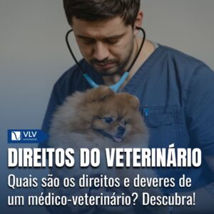 Médico-Veterinário: Direitos e Obrigações Éticas: veterinario com cachorro