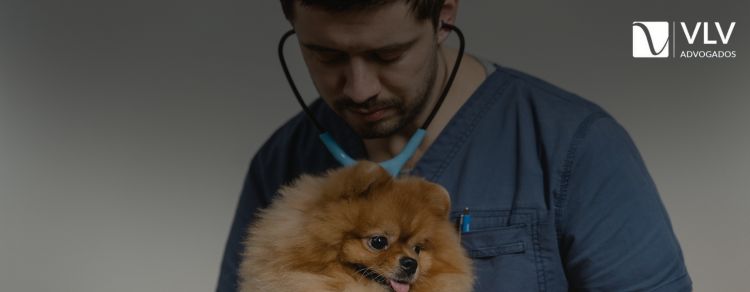 Médico-Veterinário: Direitos e Obrigações - Veterinário com um cachorro