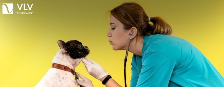 Negligência veterinária: Como proceder e quais seus direitos?