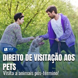 Direito de visitação aos animais após término ou divórcio!