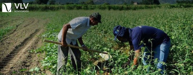 Garantia-Safra: O que é, como funciona e quem tem direito