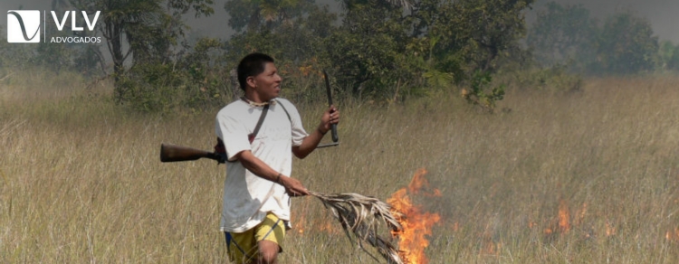 Quais são as penalidades para quem é responsabilizado por incêndios florestais?