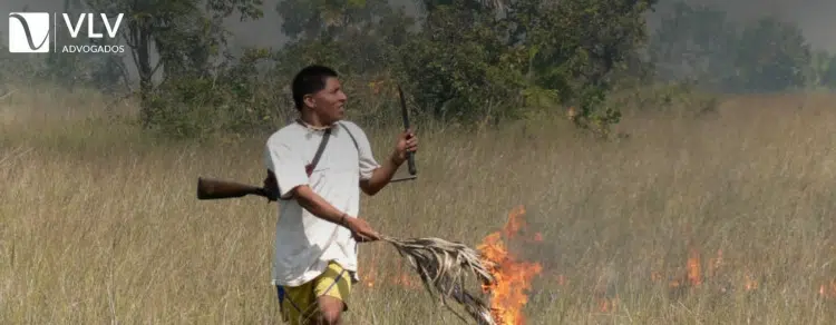 Quais são as penalidades para quem é responsabilizado por incêndios florestais?