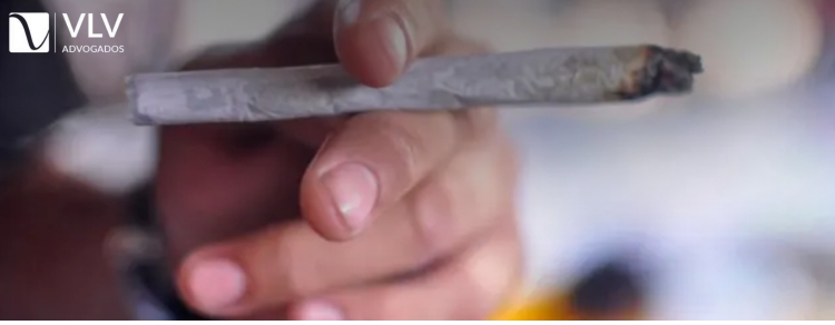 Posse de Maconha e a Nova Decisão do STF - Fim do Crime?