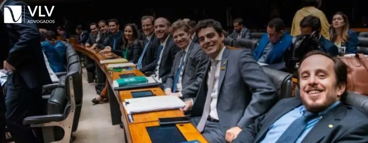 O que um deputado faz?