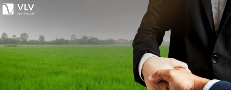 Venda de terreno: 20 coisas que você precisa saber! 