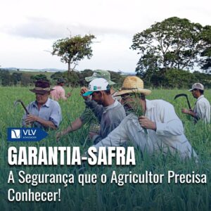 Garantia-Safra: O que é, como funciona e quem tem direito 5 Garantia-Safra: O que é, como funciona e quem tem direito