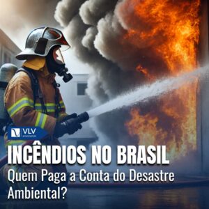 Incêndios no Brasil: Desastre Ambiental e Responsabilidade