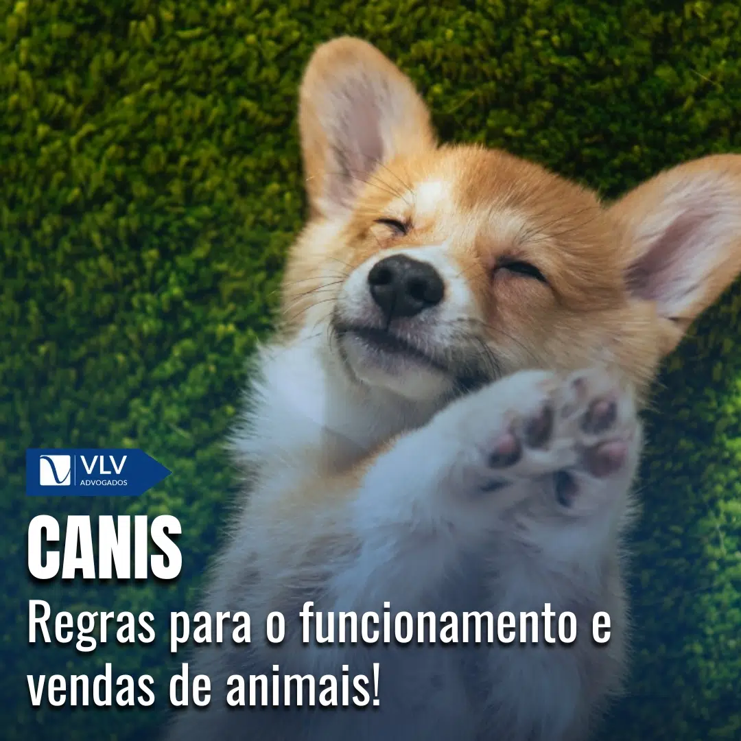 Canis: Regras para o funcionamento e vendas de animais