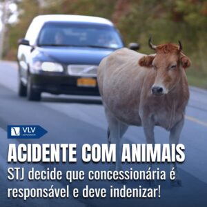 Animais na pista: Concessionária é responsável por acidente!