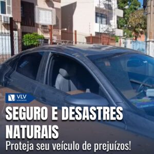 Seguro de desastras naturais