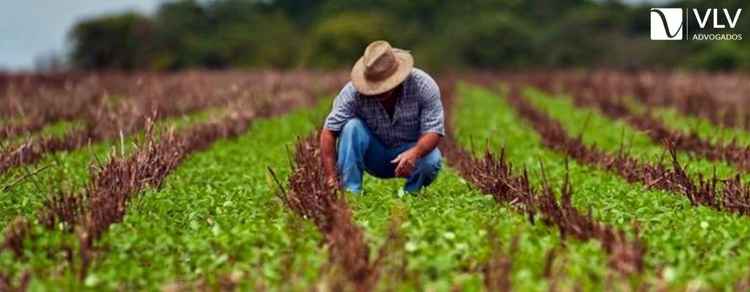 Trabalhador rural: características e direitos! 1 Imagem representando trabalhador rural.