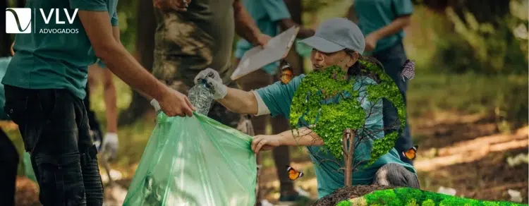 Programa Bolsa Verde: Tudo o que você precisa saber!