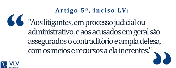 Artigo 5º, inciso LV