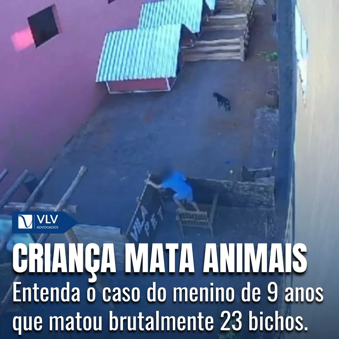 CRIANÇA MATA ANIMAIS