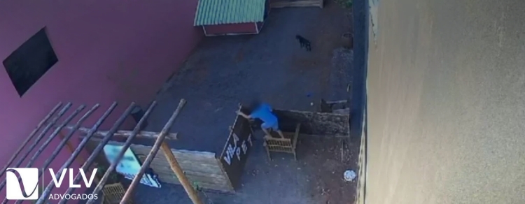 Menino de 9 anos mata 23 animais em fazendinha no Paraná 1 CRIANÇA MATA ANIMAIS