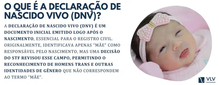 Entenda o que é DNV.