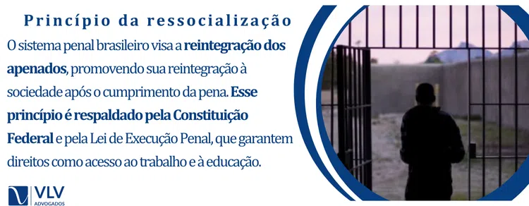 Princípio da ressocialização