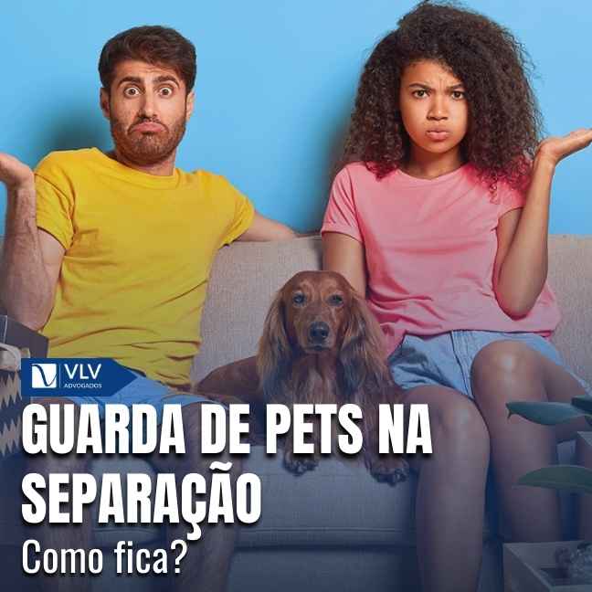A guarda pode ser compartilhada ou definida pelo juiz, priorizando o pet.