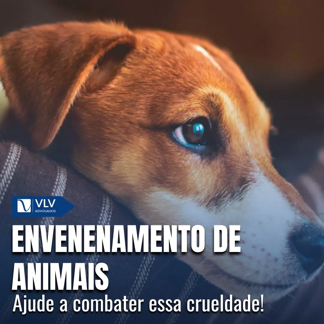 envenenamento de animais