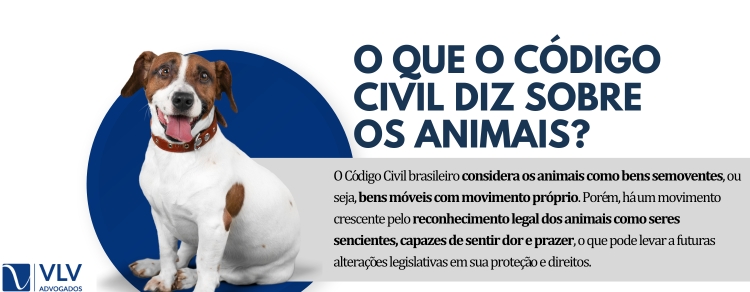 O que diz o Código Civil sobre animais?